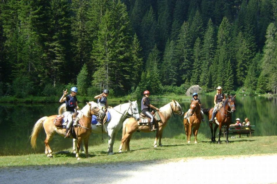 Taxus Hostel Pieve Tesino Dış mekan fotoğraf