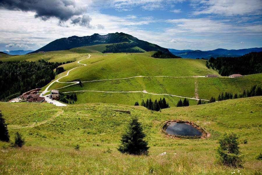 Taxus Hostel Pieve Tesino Dış mekan fotoğraf