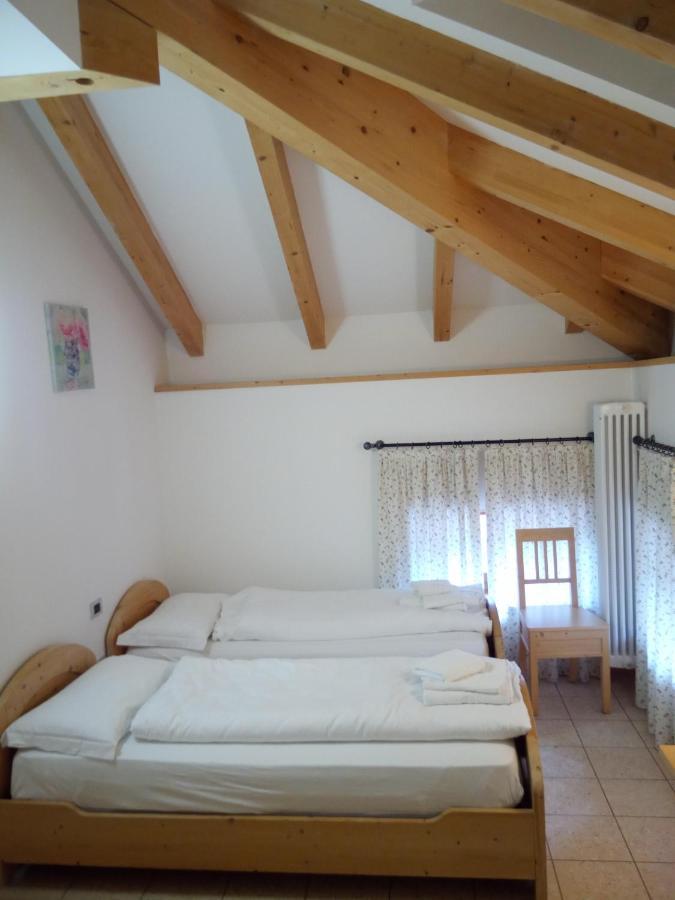 Taxus Hostel Pieve Tesino Dış mekan fotoğraf
